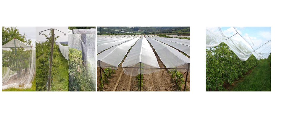 Fournisseur de filets anti-grêle en usine