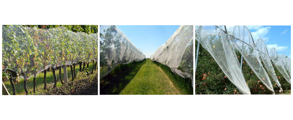 China Factory Manufactures Durable Square Mesh Plastic Orchard Hail Netting China Factory Manufactures Durable Square Mesh Plastic Orchard Hail Netting