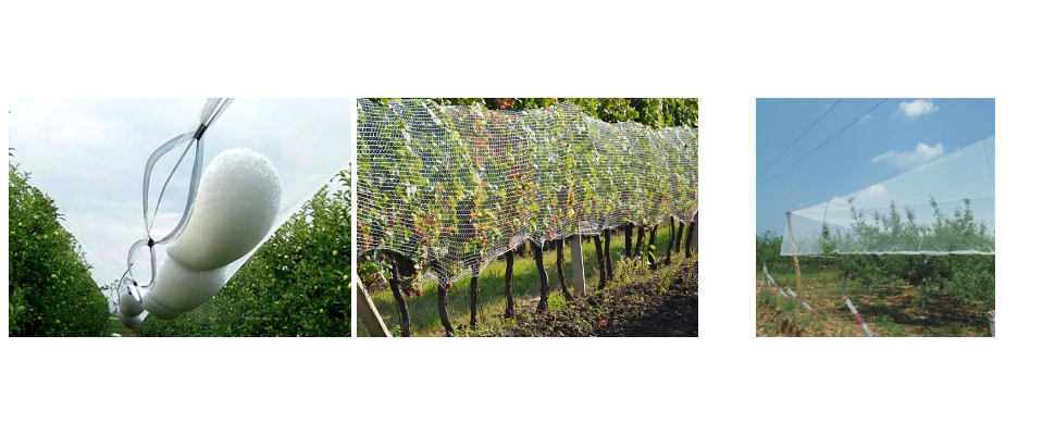 Les catastrophes de grêle font des ravages dans l'agriculture à l'étranger, les filets anti-grêle deviennent un moyen de protection essentiel.