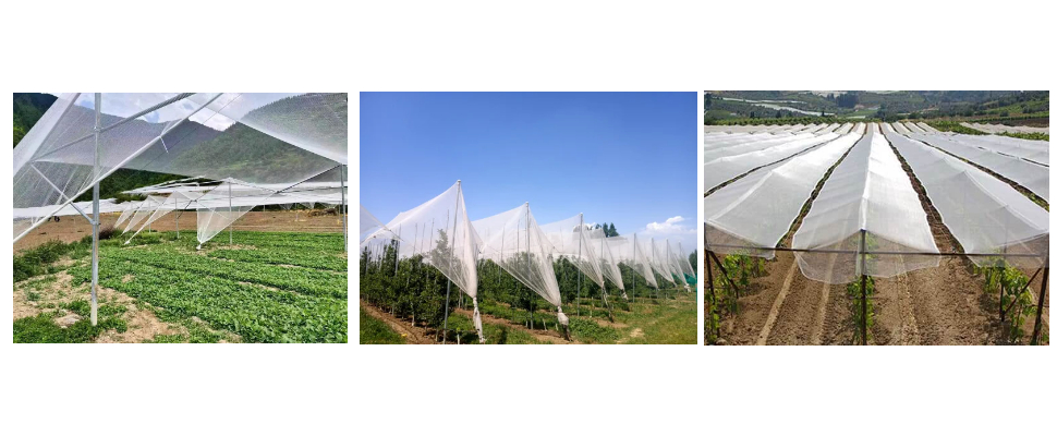 Prix ​​de gros du filet antigrêle