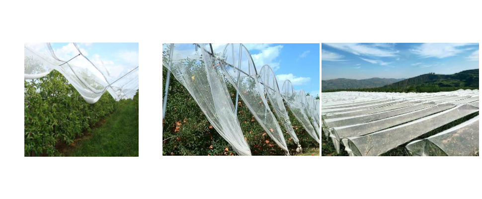 Net de grêle en plastique léger et flexible résistant aux intempéries pour la plantation