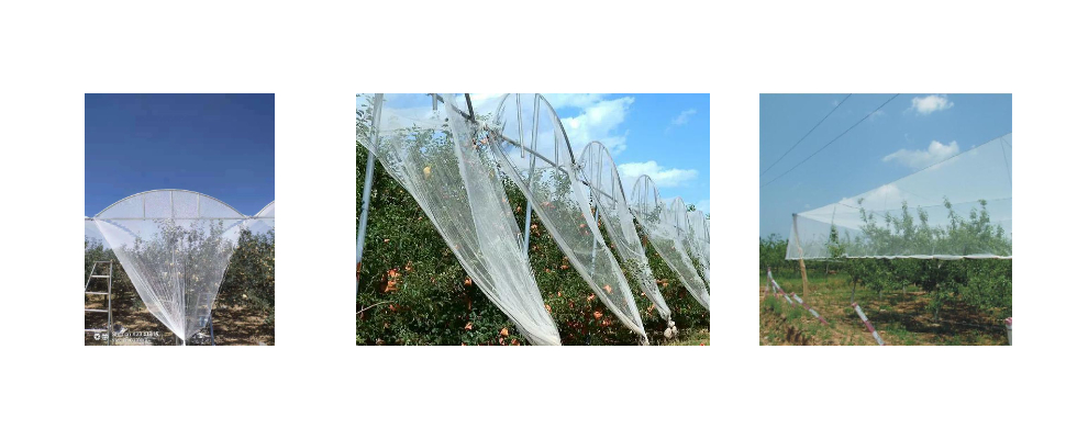 Prix ​​de gros du filet anti-grêle