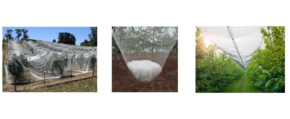 Поставщик антиграда Поставщик антиграда