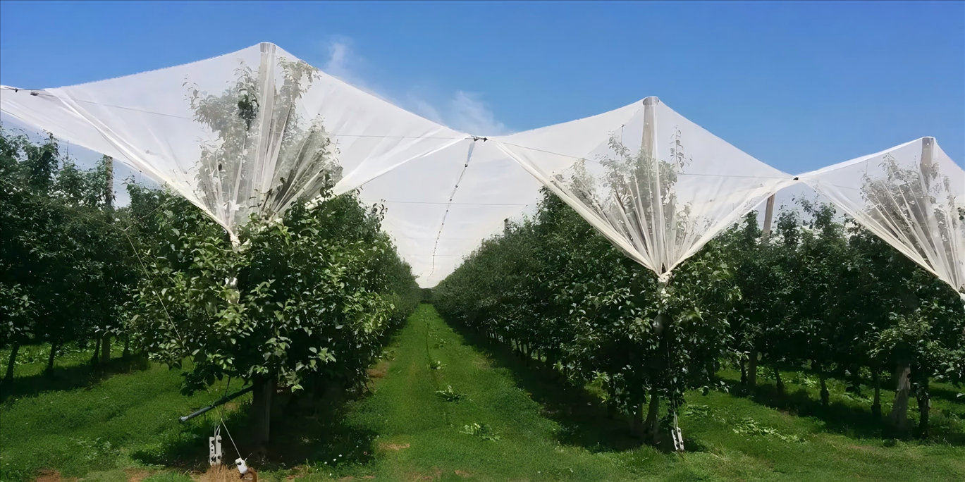 protección contra granizo para jardín protección contra granizo para jardín