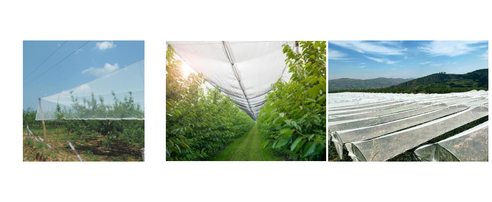 Malla antigranizo de HDPE resistente a los rayos UV de alta resistencia a la tracción fabricada en China Malla antigranizo de HDPE resistente a los rayos UV de alta resistencia a la tracción fabricada en China