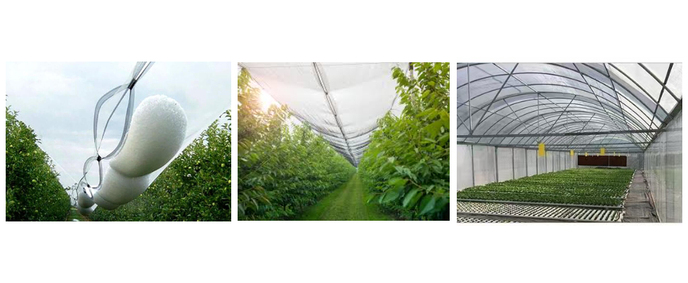 Filet anti-grêle de 3 mètres de large