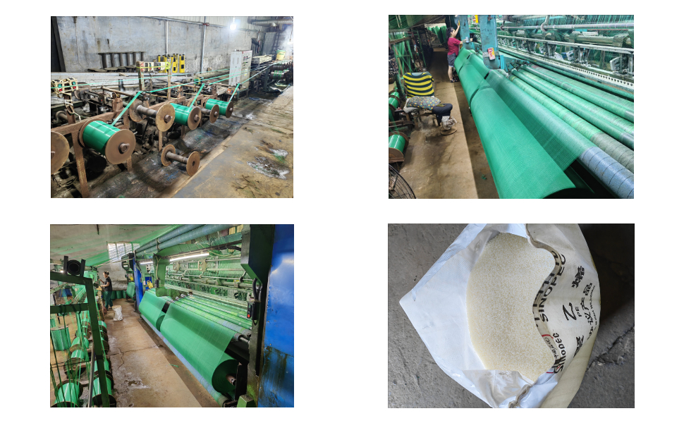 Fournisseur de filets de récolte d'olives à vendre