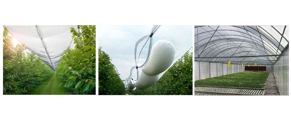 Filet anti-grêle de 4 m x 50 m de long