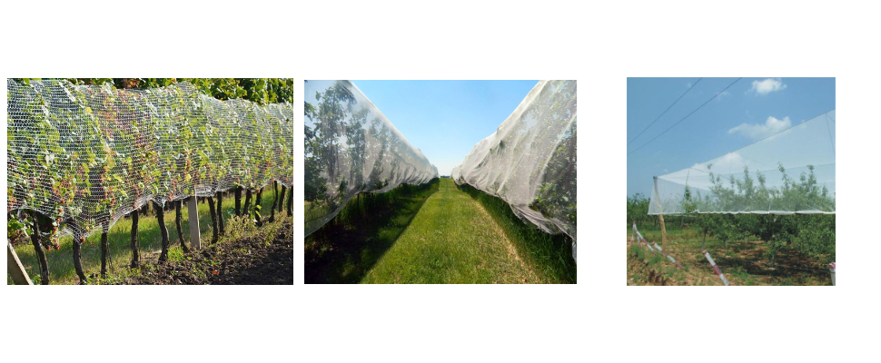 Filet anti-grêle anti-vent de 3 m de large pour pommier