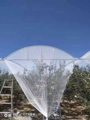 Green Pro Anti Hail Net