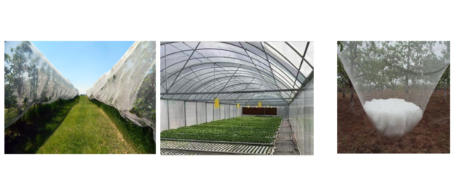 Olive Catching Net Factory