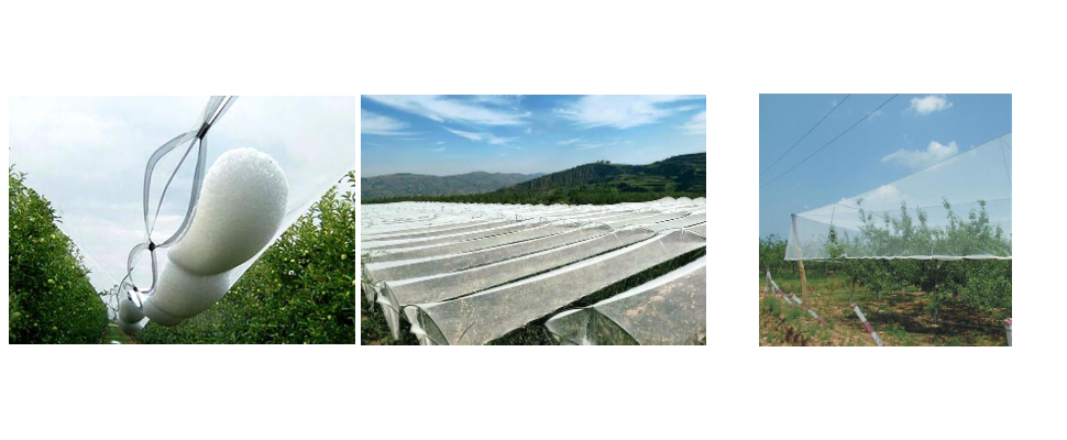 Prix ​​de gros des filets anti-oiseaux et anti-grêle