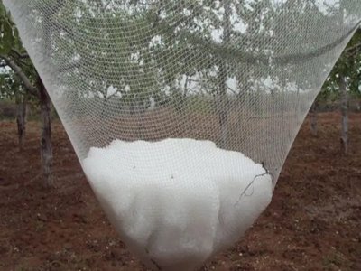 Hail disasters wreak havoc on agriculture abroad, hail net become a key means of protection.