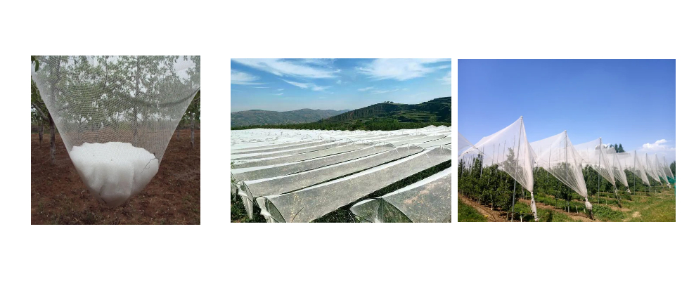 gfabric Anti Hail Netting Wholesale Price