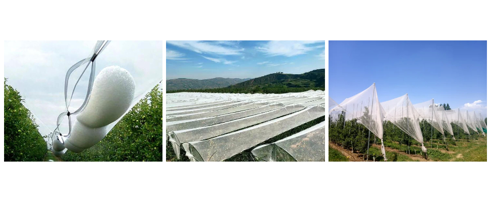 Precio al por mayor de malla antigranizo para jardines Precio al por mayor de malla antigranizo para jardines