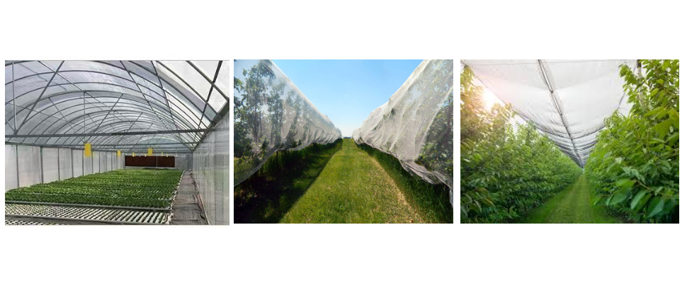 Prix ​​de gros des filets anti-grêle pour vergers