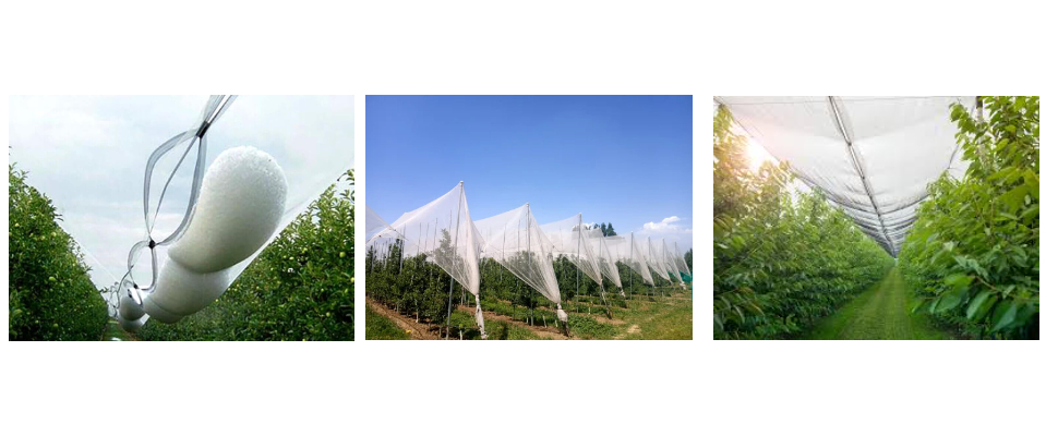 Filets anti-grêle pour jardins, prix de gros