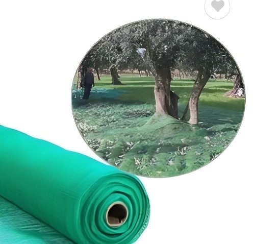 Filet d’olive HDPE agricole de haute qualité