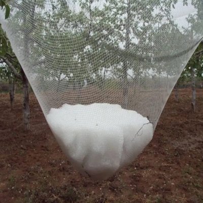 Diamond Mesh 110GSM Original Plastic Anti Hail Net Factory