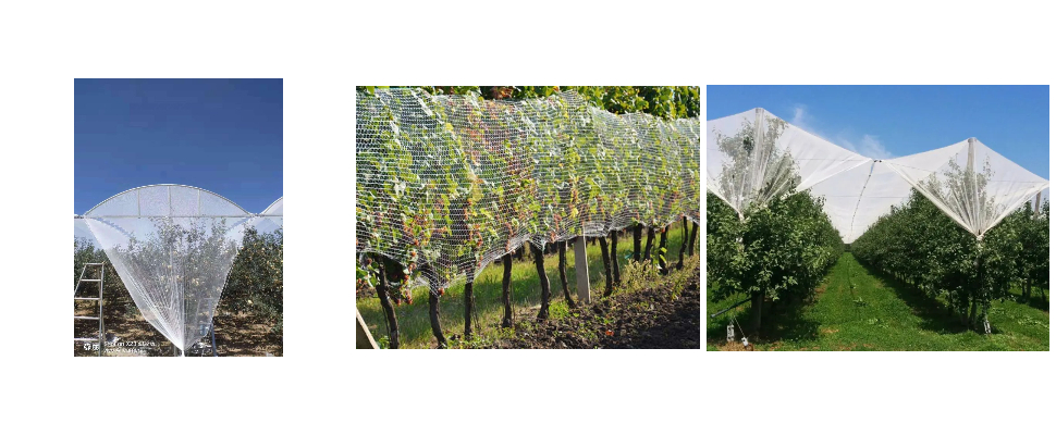 شبكة HDPE الأصلية ذات الحواف الحمراء 170GSM المضادة للبرد من المصنع لأجهزة Apple شبكة HDPE الأصلية ذات الحواف الحمراء 170GSM المضادة للبرد من المصنع لأجهزة Apple