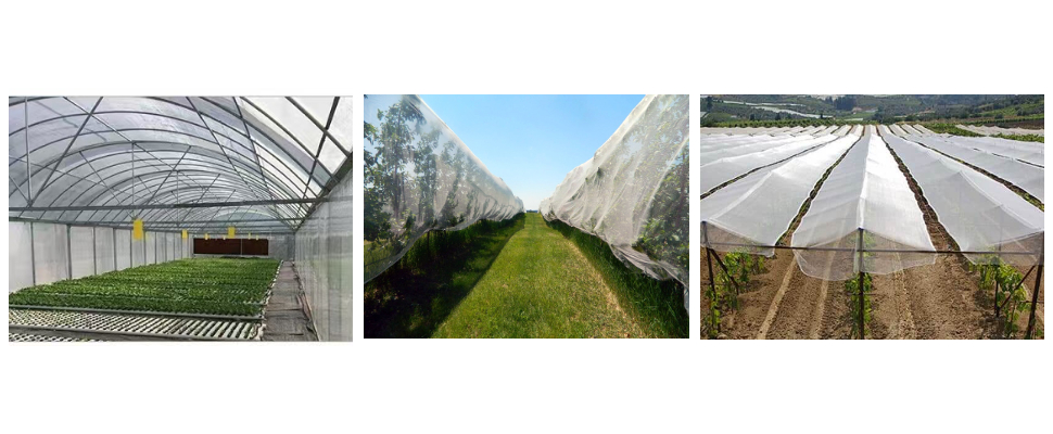 Fournisseur de toiles anti-grêle pour jardins