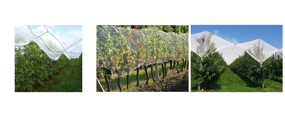 Toile de protection contre la grêle en PEHD anti-UV à mailles carrées 100 g/m² fabriquée en Chine Toile de protection contre la grêle en PEHD anti-UV à mailles carrées 100 g/m² fabriquée en Chine