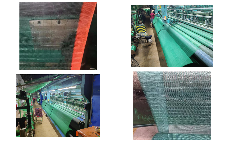 Olive Tree Net Supplier