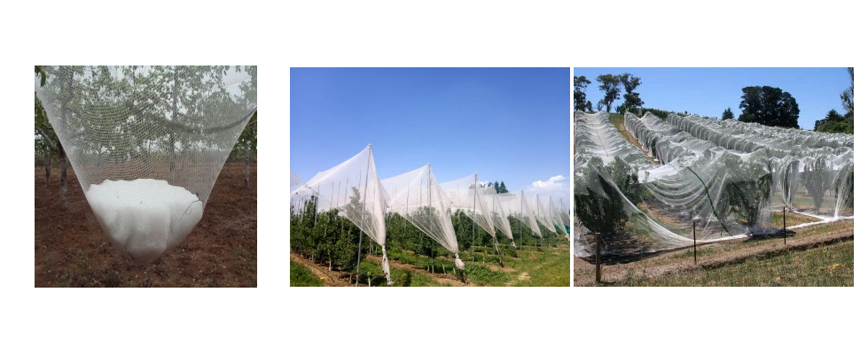 Filet anti-grêle avec protection UV