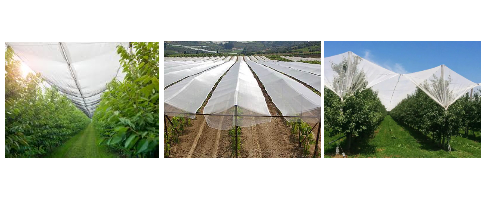 Red antigranizo de plástico original de fábrica de malla de diamante de 110 g/m² Red antigranizo de plástico original de fábrica de malla de diamante de 110 g/m²