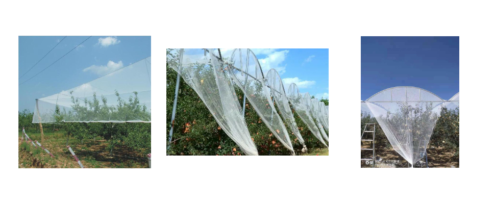 Filet à grêle de 130 à 160 m de long Filet à grêle de 130 à 160 m de long