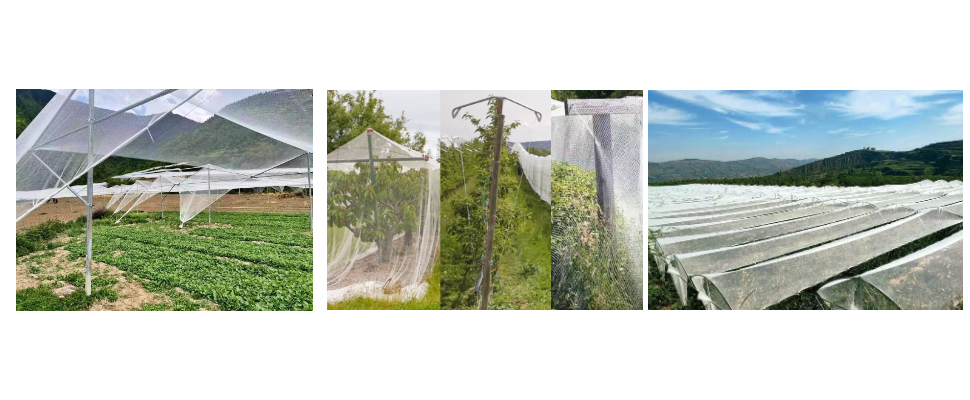 Cheap China Made Anti Aging HDPE Anti Hail Net For Apple Cheap China Made Anti Aging HDPE Anti Hail Net For Apple