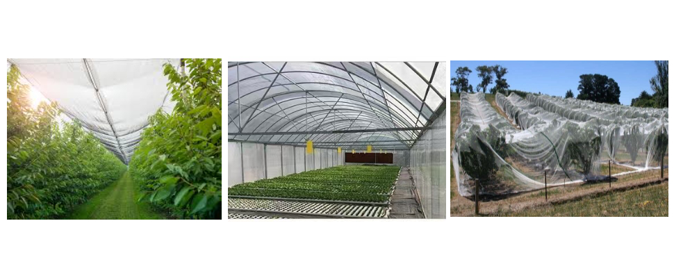 Proveedor de telas antigranizo para jardín Proveedor de telas antigranizo para jardín