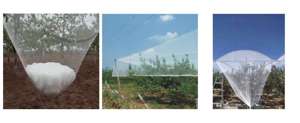 جميلة ومقاومة للتآكل حماية من الأشعة فوق البنفسجية HDPE Hail Net للتصدير جميلة ومقاومة للتآكل حماية من الأشعة فوق البنفسجية HDPE Hail Net للتصدير