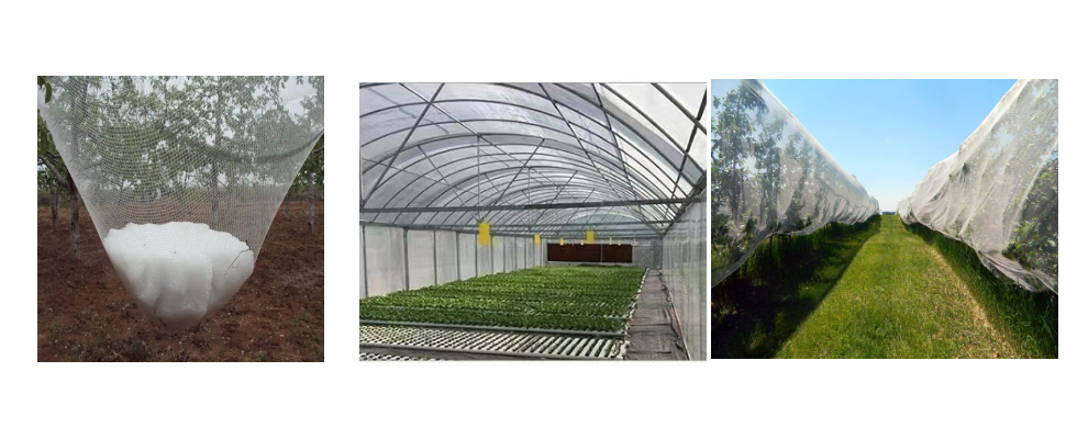 Plastique HDPE vierge de haute qualité anti-grêle pour la protection