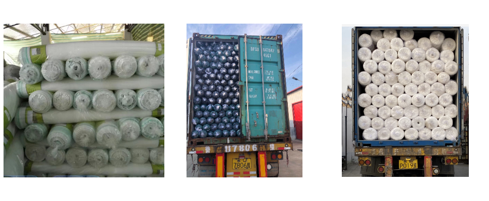 Filet anti-grêle en plastique anti-UV attrayant et durable pour les vignobles