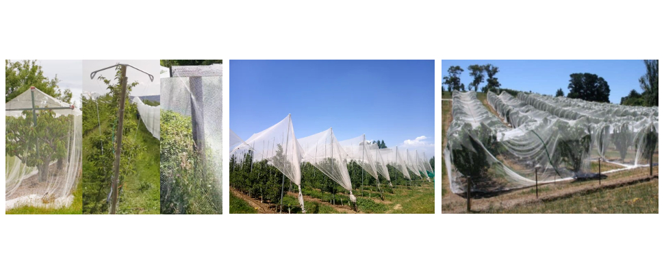 Filet anti-insectes blanc 80 g/m², protection UV, PEHD, anti-grêle, usine