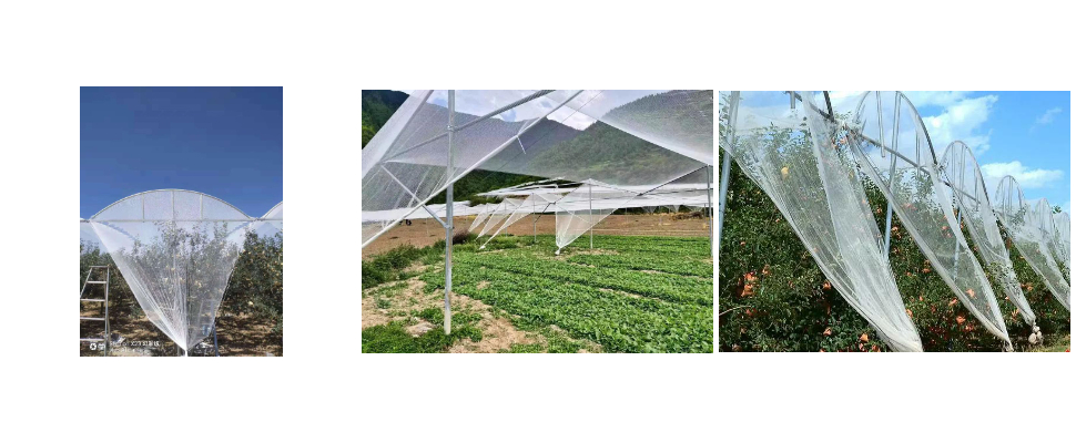 Exportation UV Protection de grêle en plastique en polyéthylène pour jardin Exportation UV Protection de grêle en plastique en polyéthylène pour jardin