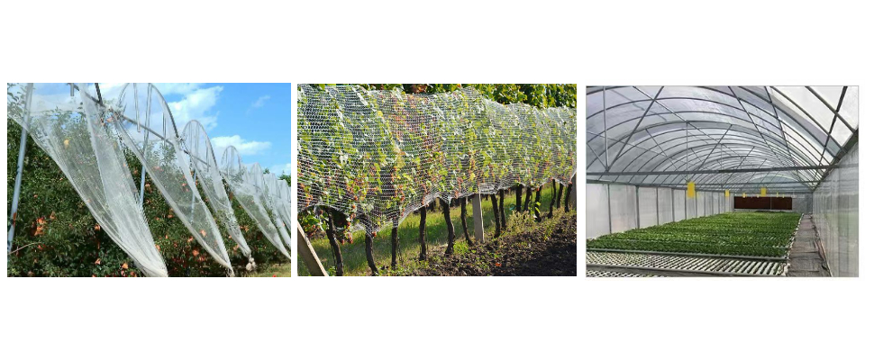 Fournisseur de filets anti-grêle