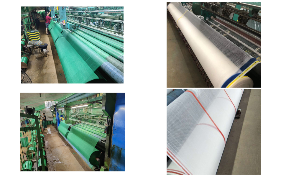 Proveedor de red anti granizo para Apple Proveedor de red anti granizo para Apple