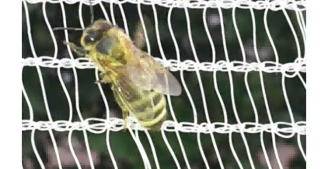 Anti-bee Net