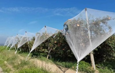 Garware Anti Hail Net