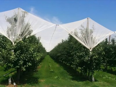 قطعة قماش حديقة البرد