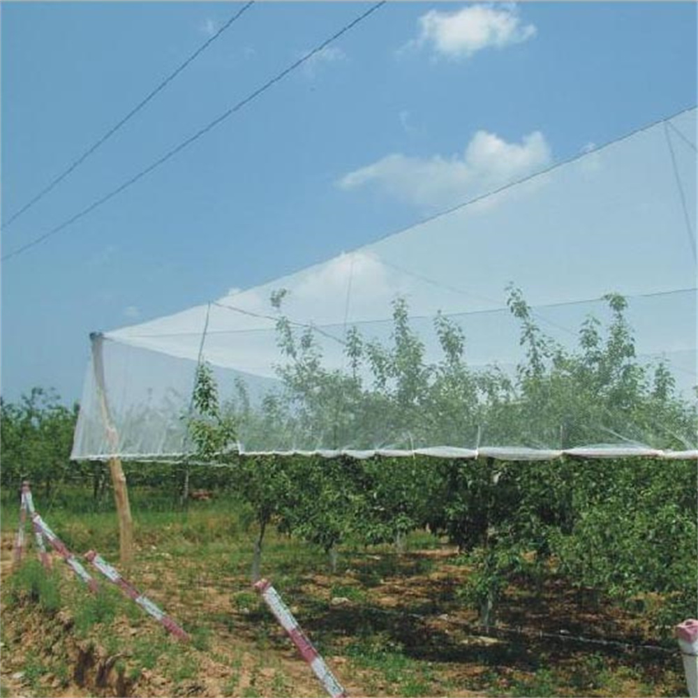 Garden Hail Cloth