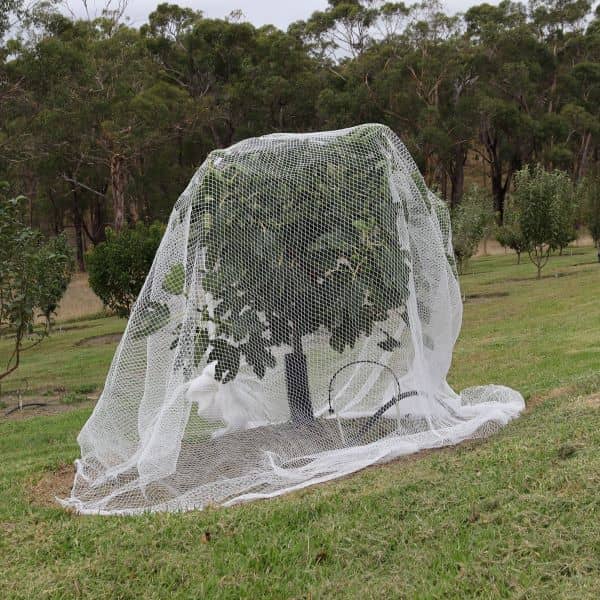 Hail Netting Suppliers China