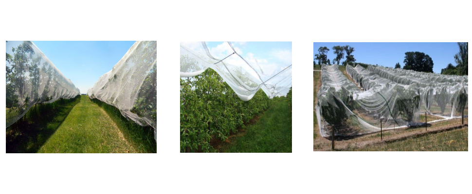 Prix ​​de gros anti-grêle