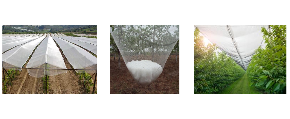 Protection anti-abeilles contre la grêle en PEHD 70 g/m², longueur 50 m, pour jardin Protection anti-abeilles contre la grêle en PEHD 70 g/m², longueur 50 m, pour jardin