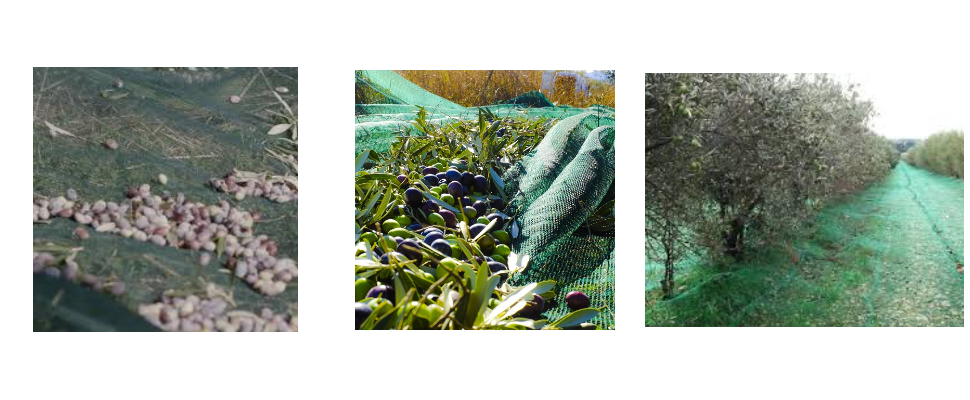 Green And Environmentally Friendoly Anti Wear High Density Polyethylene Woven Plastic Olive Net For Harvesting Green And Environmentally Friendoly Anti Wear High Density Polyethylene Woven Plastic Olive Net For Harvesting