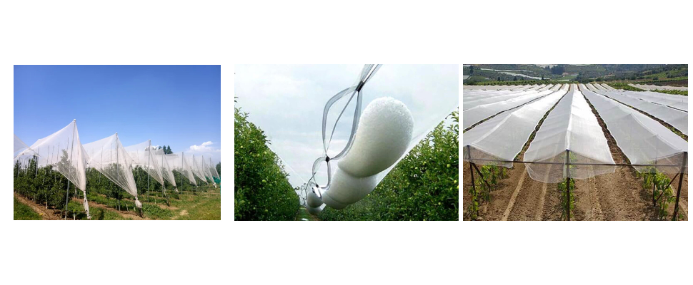 Fournisseur de filets anti-grêle