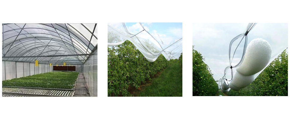 Filet anti-grêle en plastique polyéthylène haute densité anti-UV pour l’agriculture Filet anti-grêle en plastique polyéthylène haute densité anti-UV pour l’agriculture