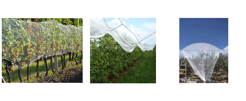 Triangle durable maille 3m de large HDPE protection contre la grêle pour le jardin